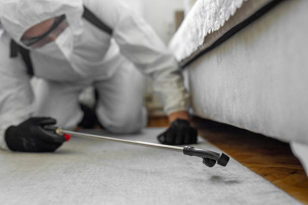 Professional Bed Bug Control technician working in Vista, CA